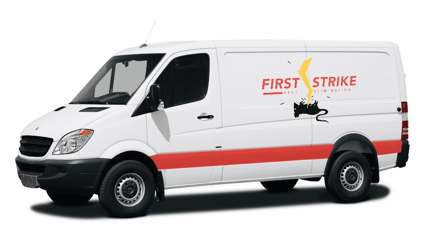 First Strike Pest Technician